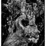 Arbre-Christ, photographie fine art, 80 x 60 cm, 2022
