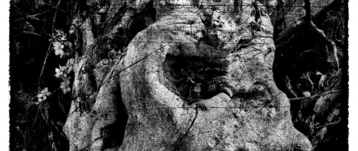 Arbre-Christ, photographie fine art, 80 x 60 cm, 2022
