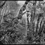 Le passage Photographie - Chambre 8 x 10 - Tirage fine art - 60 x 80 cm - 2016