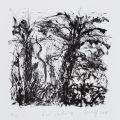 CANADA - SOKOLOFF Béatrice : Quel jardin? VI, Lithogravure, 19x19 cm, 5/20, 2008