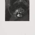 FINLANDE - LAINE Janne : Cousin I, Photogravure, 10x10 cm, 16/32, 2013