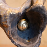 Gallou - L’escargot d’or, os patiné - h. 28 cm