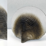 Jean-Marie LE GOFF CARAPACE Pâte de verre - L30 H12 P12 - 2018