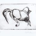 URUGUAY - CELSA Burgueno : Sin titulo, Pointe sèche, 7x10 cm, E/A, 2014