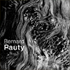 couv_expostion-bernard-pauty