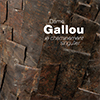 couv_expostion-gallou