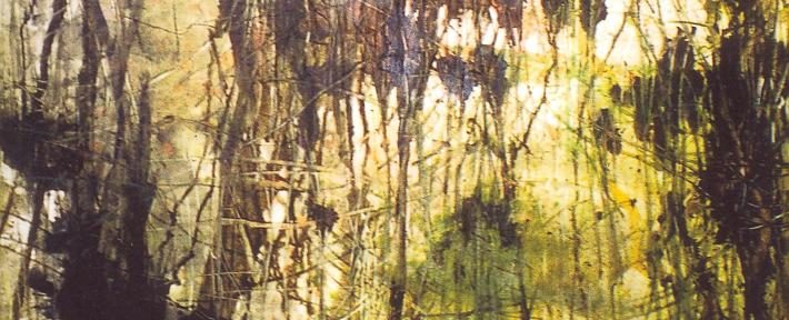 Catherine Reineke-Manry