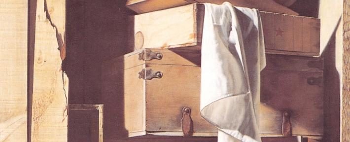 Trompe – L’oeil / Réalité