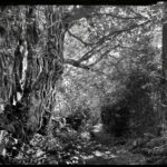 Bernard Pauty -Là-bas- Photographie - 65 x 85 cm - 2017